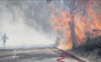 À Calenzana, première alerte de l'été sur le front des incendies