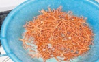 2,2 kg de corail rouge saisis lors d'une pêche illégale à Bonifacio