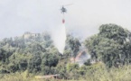 Quatre hectares parcourus par les flammes à Frassiccia