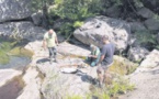 Un mouflon abattu et décorné dans le massif de l'Osu