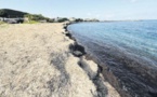  Cri d'alarme dans le Cap Corse face aux posidonies