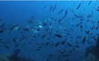 Teaser film 3D "La Méditerranée, une mer sous surveillance" 