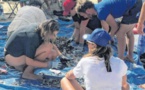 CorSeaCare : mission sensibiliser les enfants sur la pollution marine