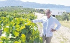 Le Domaine Orenga de Gaffory obtient la certification bio