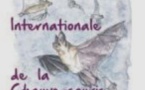 Nuit européenne de la chauve-souris 