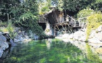 A Casetta i u banditu le bonheur au creux des arbres