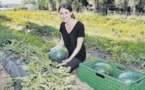 La production maraîchère peu impactée par la canicule