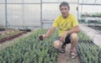 L'apéro olfactif, balade gustative entre les plantes sauvages