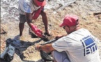 Pollution maritime à bonifacio : l'OEC tire la sonnette d'alarme