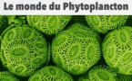 Conférence sur le Phytoplancton, le 16 octobre