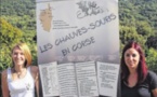 Un après-midi pour mieux connaître les chauves-souris