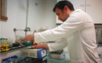 Alternatives aux pesticides : l’Université de Corse-CNRS, fer de lance de la recherche
