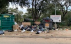 "La crise de déchets en Corse était prévisible" Europe Ecologie I Verdi "réduction et tri des ordures restent la seule solution viable" 