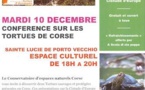 A la découverte des tortues à Sainte Lucie de Porto Vecchio