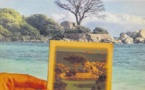 Les derniers adieux au pin de Palombaggia