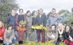  Stage botanique : découvrir les plantes et les végétaux insulaires
