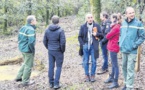 Å Mansu, un sentier pour tout connaître de la mésange bleue