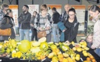 Inra-IRSTEA : fusion à l'heure du grand virage agroécologique