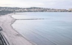 La plage a retrouvé son charme naturel dans la pinède de Calvi