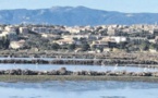 Les marais salants paradis ornithologique