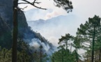 Feu de Quenza-Solaro : L’incendie surveillé, 200 pompiers toujours sur place