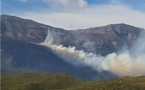 Pietracorbara : 50 hectares détruits, le feu progresse 