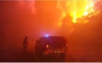 VIDEO - 230 hectares en feu à Olmeta di Tuda 