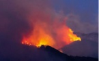 Vent Violent : le feu de Quenza-Solaro est reparti et pourrait menacer des habitations 