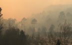Comme l'Australie, la Corse peut-elle connaître des méga-feux ?