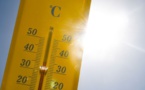 Météo : un hiver très doux et des records de chaleur battus en Corse