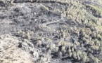Incendies : la lutte continue entre Bavella et U Sulaghju