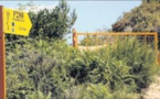 Tavera et l'épineux sujet de la Scalella