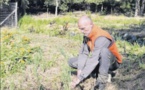 Cultiver avec la seule aide de la nature en permaculture