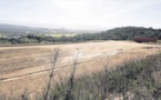 Soupçons d'enfouissement sauvage en haut du Vazzio