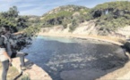 Le Conservatoire du Littoral au chevet de la dune de Tamaricciu