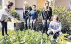 Au collège Maria Ghjentile, une classe pilote "verte" et plurilingue