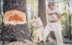 Les porteurs de cuivre à l'épreuve du temps