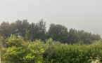 Pollution aux particules fines en Corse : le dispositif d’information et de recommandation du public maintenu 
