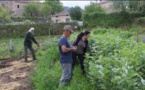  Les jardins solidaires s'adaptent