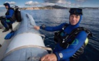 Un conte écologique pour alerter la jeune génération
