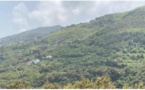 Corse : augmentation des particules fines en suspension