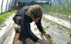 Le lycée agricole mise sur son atelier maraîchage