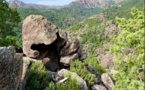 FORÊT DE BONIFATU  L'appel de la montagne