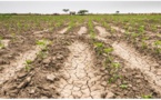 Assez d'eau pour passer l'été ?