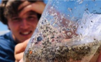 Effet confinement : l’odyssée de trois étudiants pour mesurer les microplastiques en Méditerranée