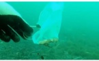 Les masques et les gants jetables polluent déjà la Méditerranée