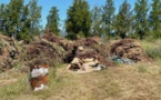  Décharge sauvage à Ghisunaccia