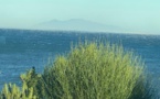 Haute-Corse : épisode de vent fort annoncé. Emploi du feu interdit. 