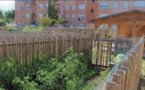 GHISONACCIA Les jardins partagés fleurissent