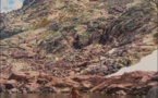 ASCO   Le bain de midi au lac d'Altore